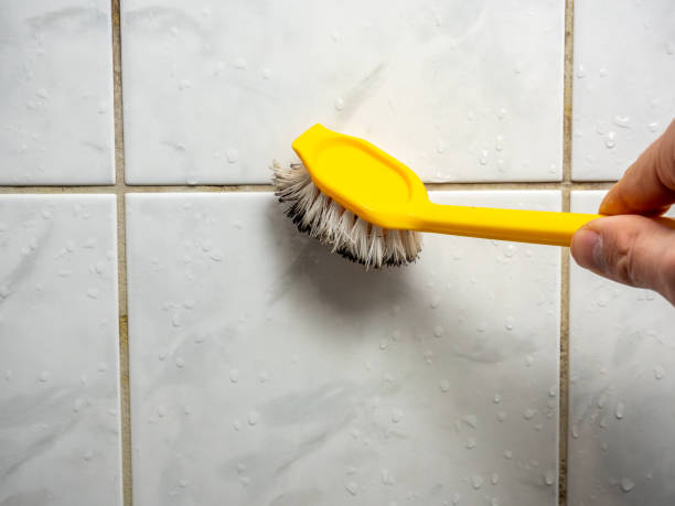 Best Certified Mold Removal  in Hohenwald, TN